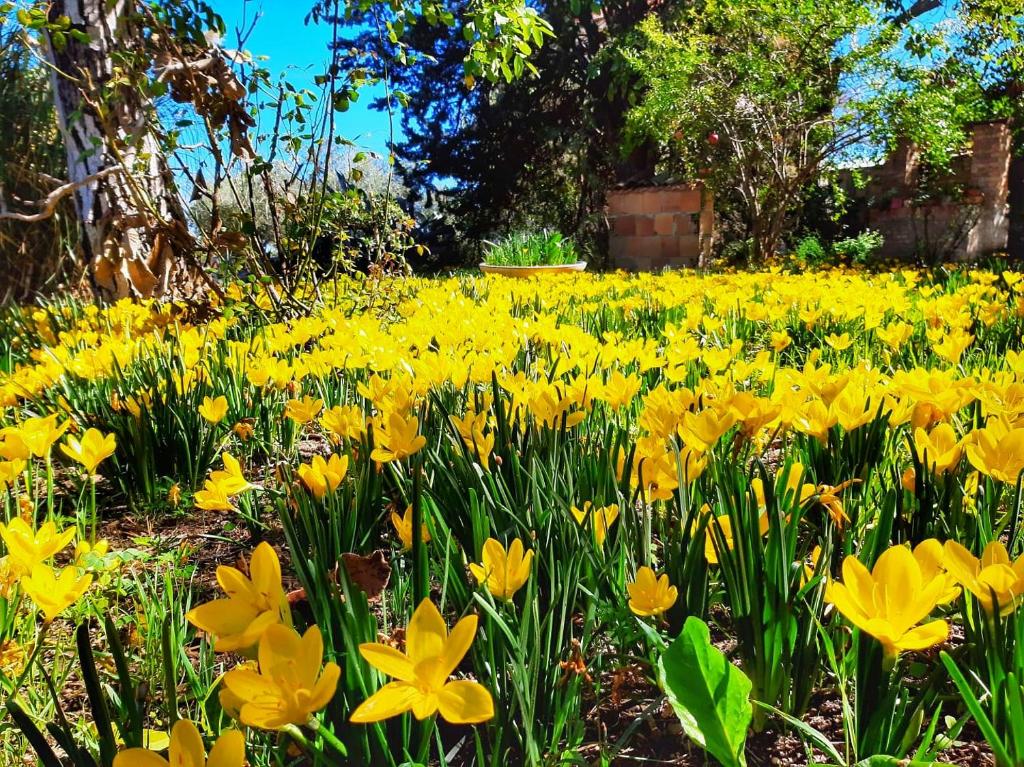 Da Nella Dimora di Campagna