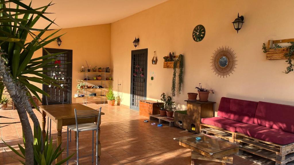 La tana dei Ricci