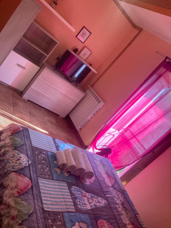 Sophie`s Home