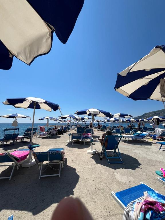 Gli Oleandri