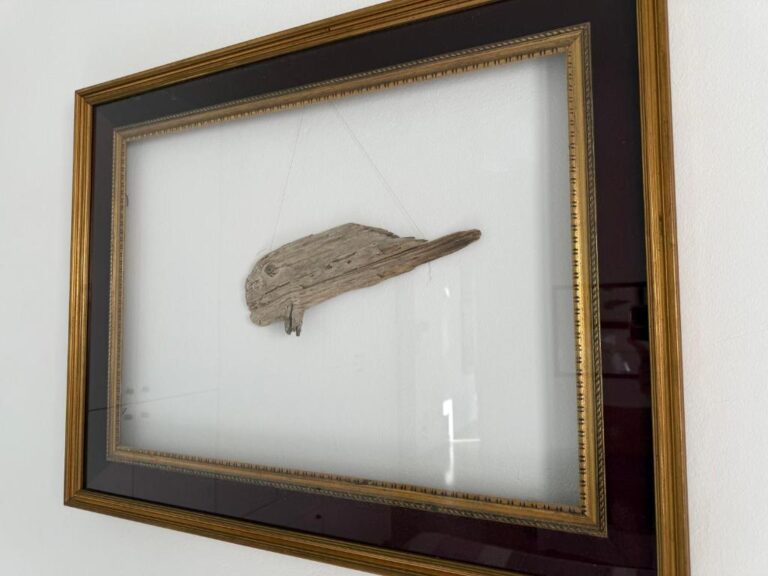 Il Pesce di Legno