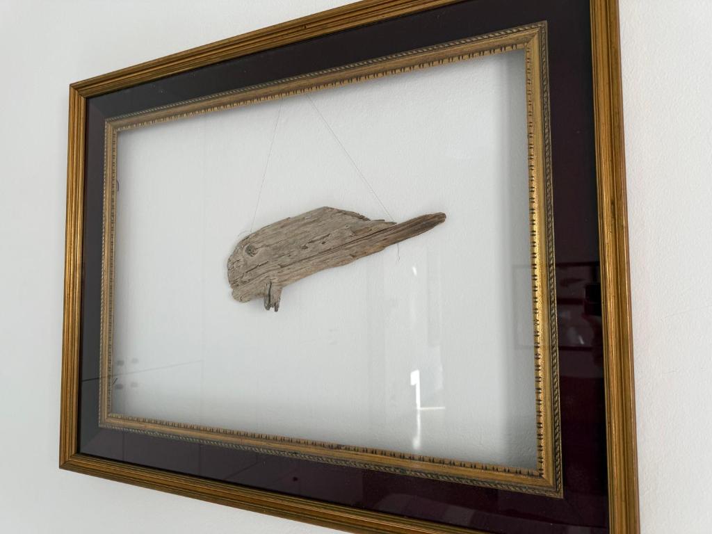 Il Pesce di Legno