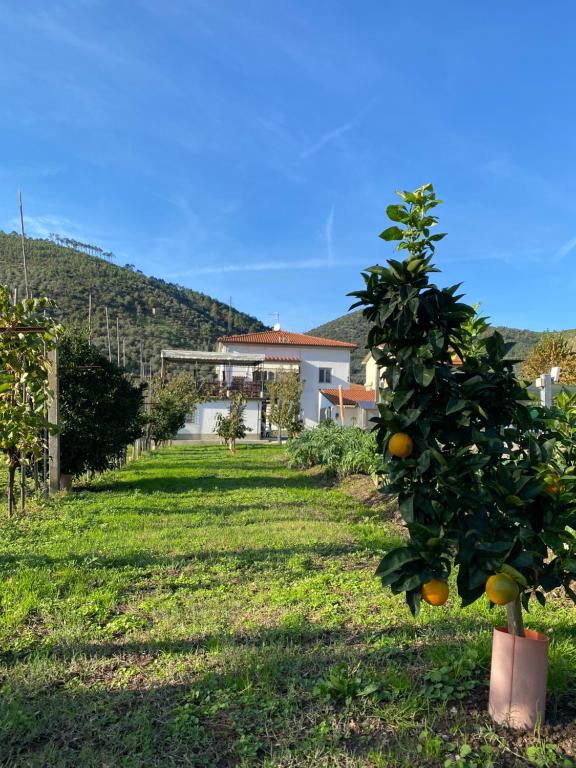 La tenuta di Eva
