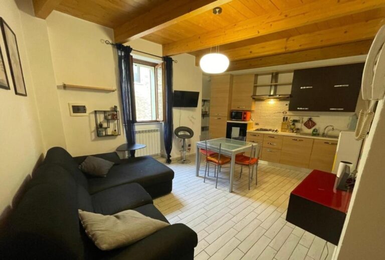 Olli's Place