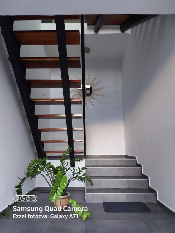 Scala Studio Apartments
