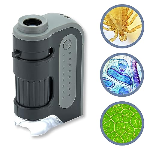 Carson 'MicroBrite Plus' Microscopio tascabile